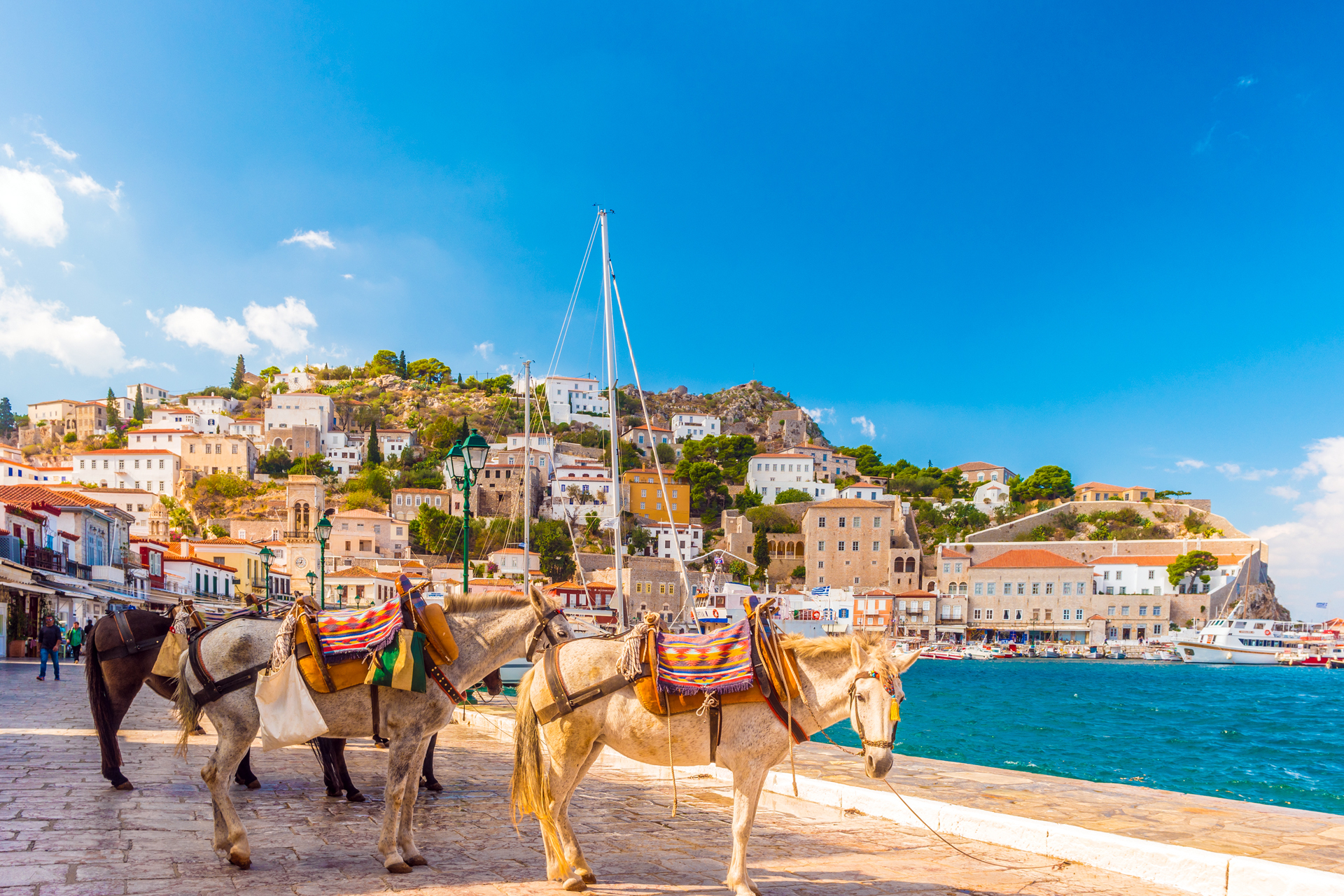 Saronic Islands – Premium (Athens ↔ Athens) - photo 3