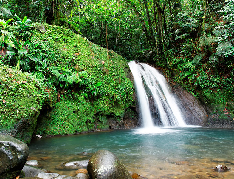 Guadeloupe Island Escape (Standard) - foto 2