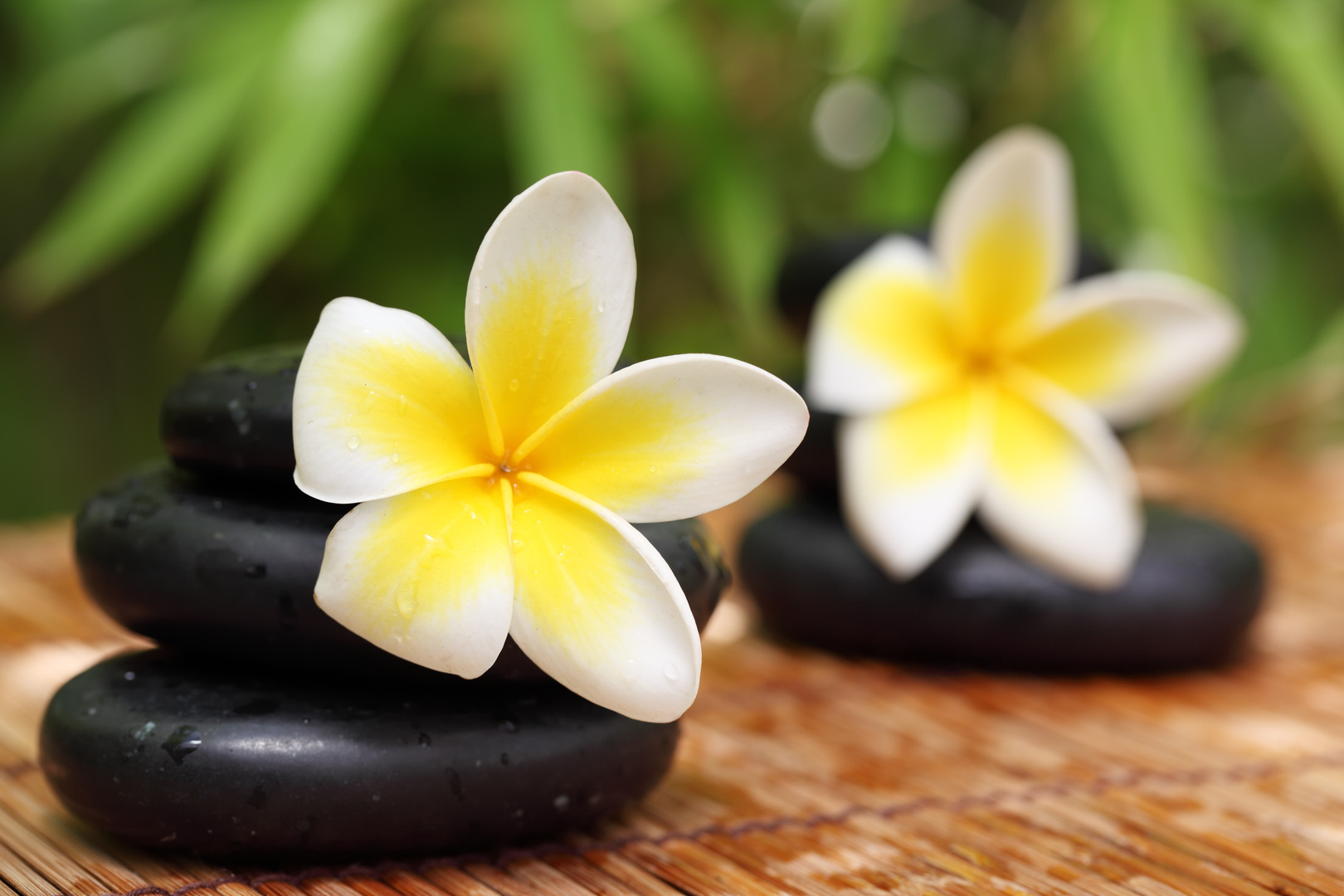Raiatea → Bora Bora → Tahiti - photo 3