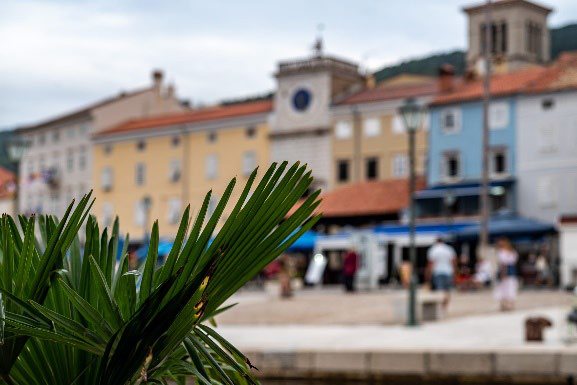 Kvarner Bay of Islands (Opatija ↔ Opatija) - photo 3