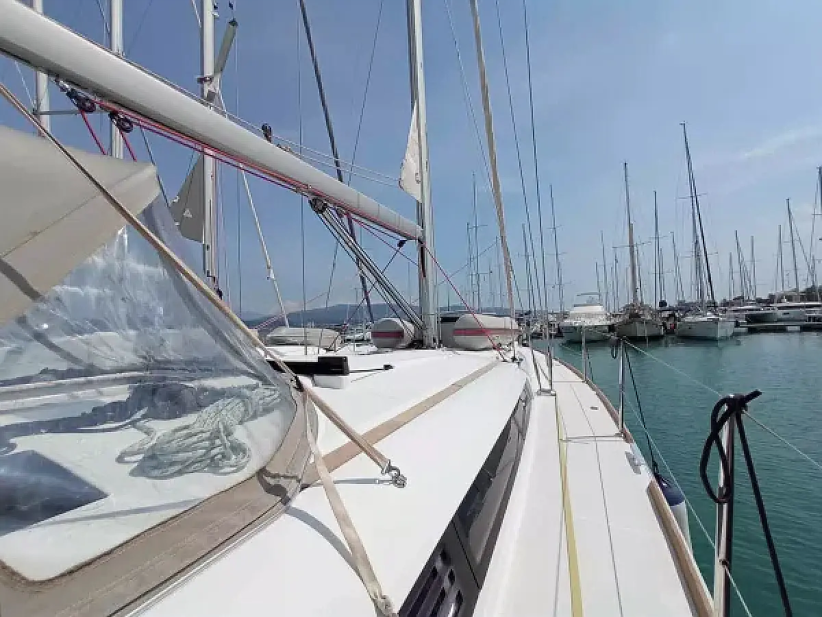 Blue Swan 4