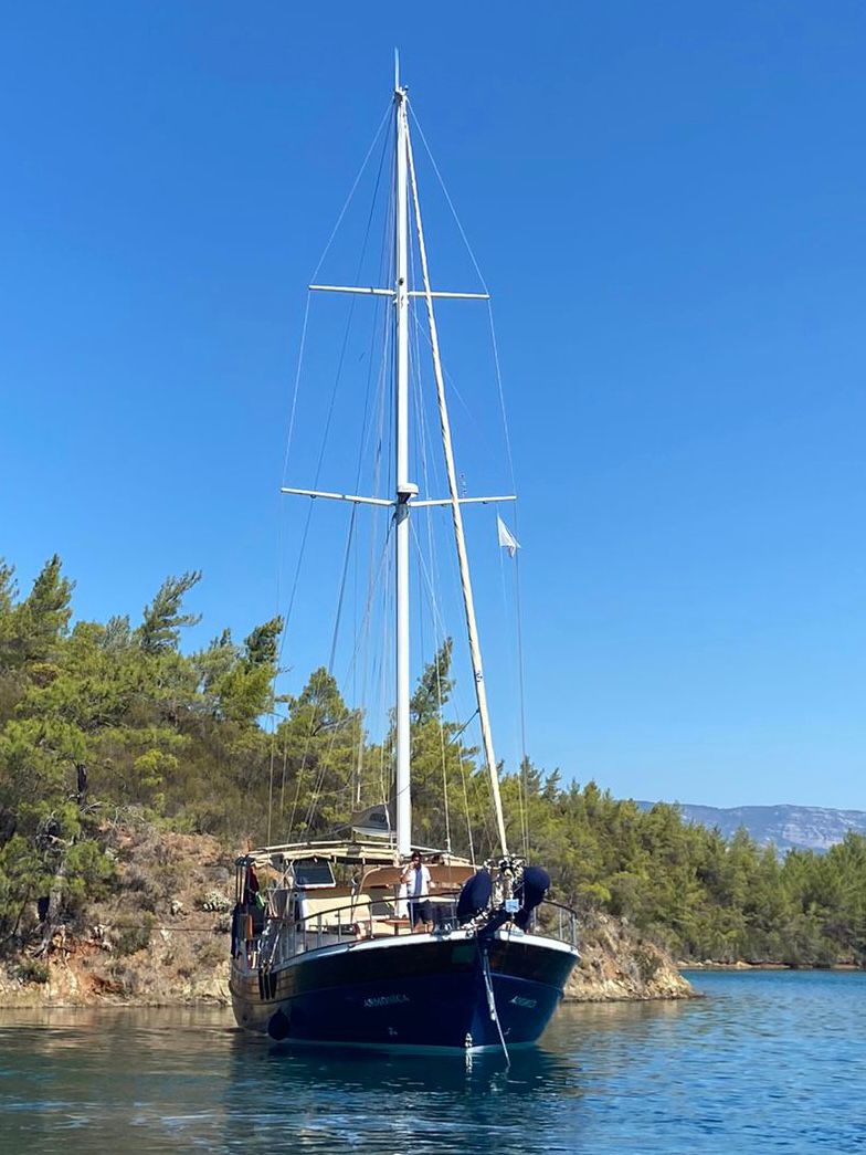 Armonica 4