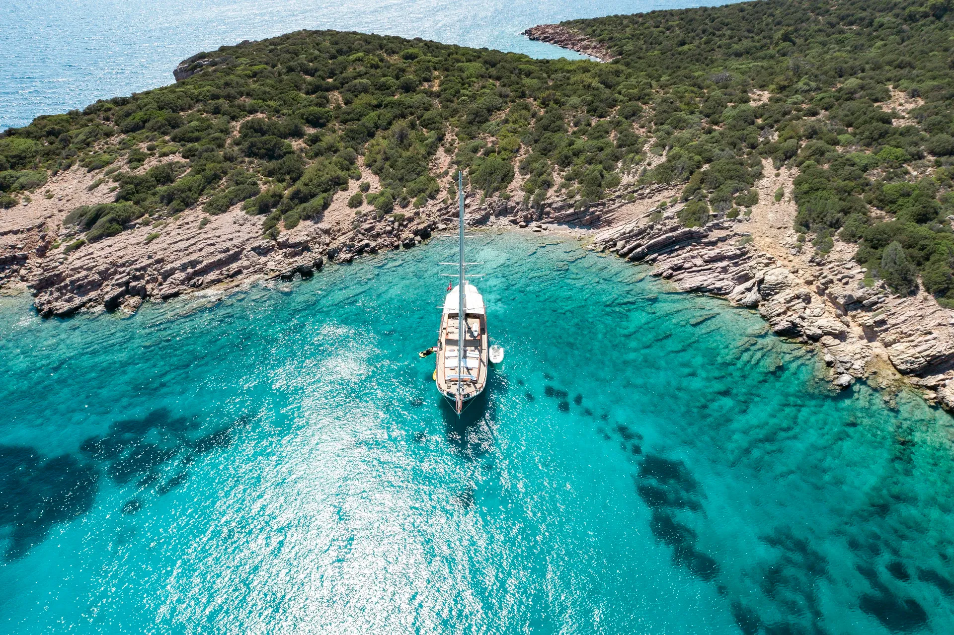 Estrella De Mar - fotoğraf 3