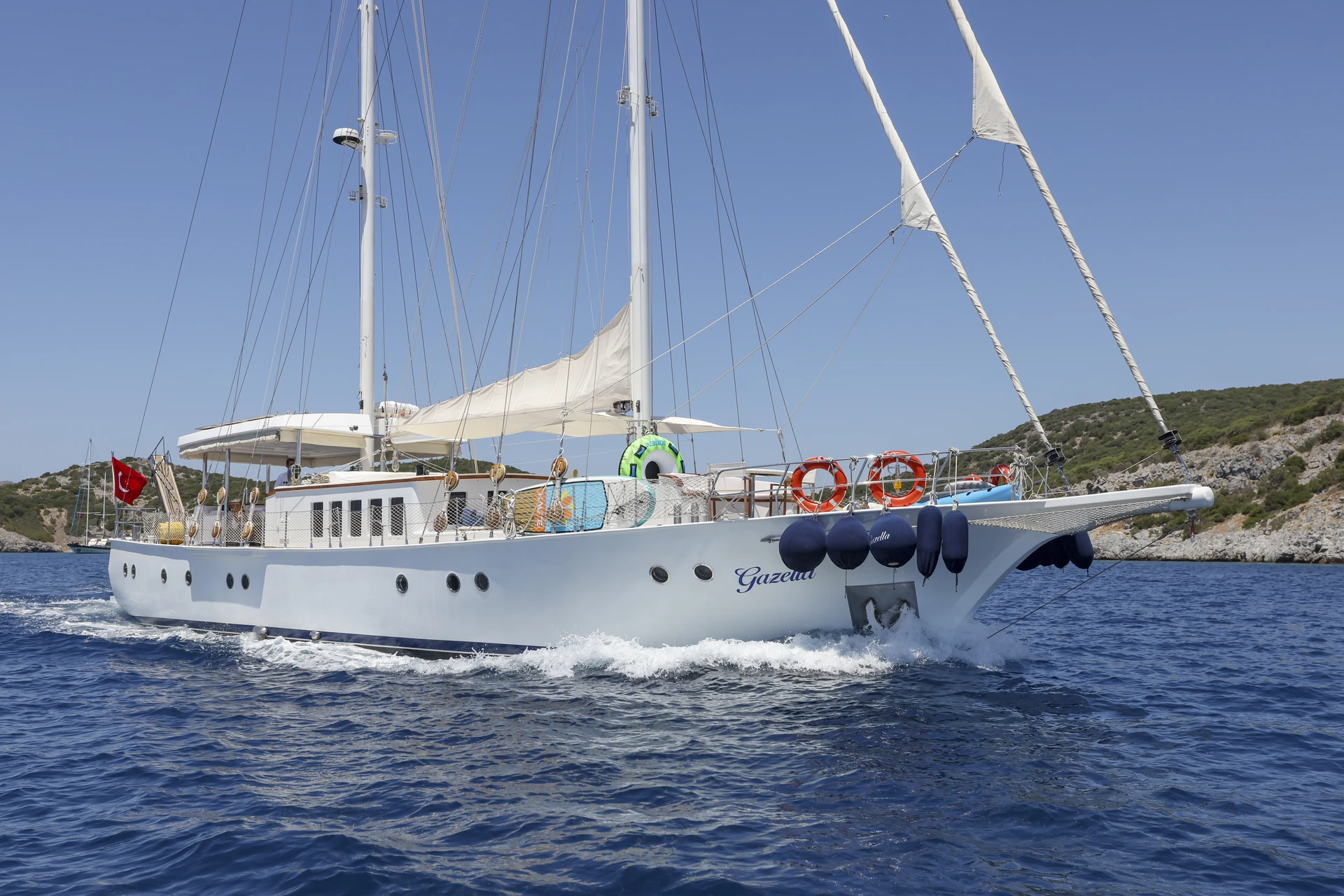 Gazella - photo 2