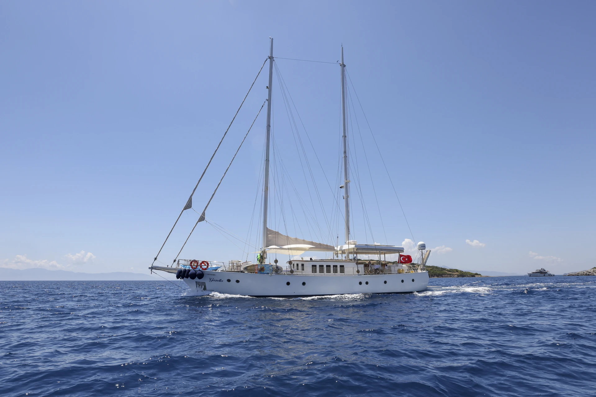 Gazella - photo 3