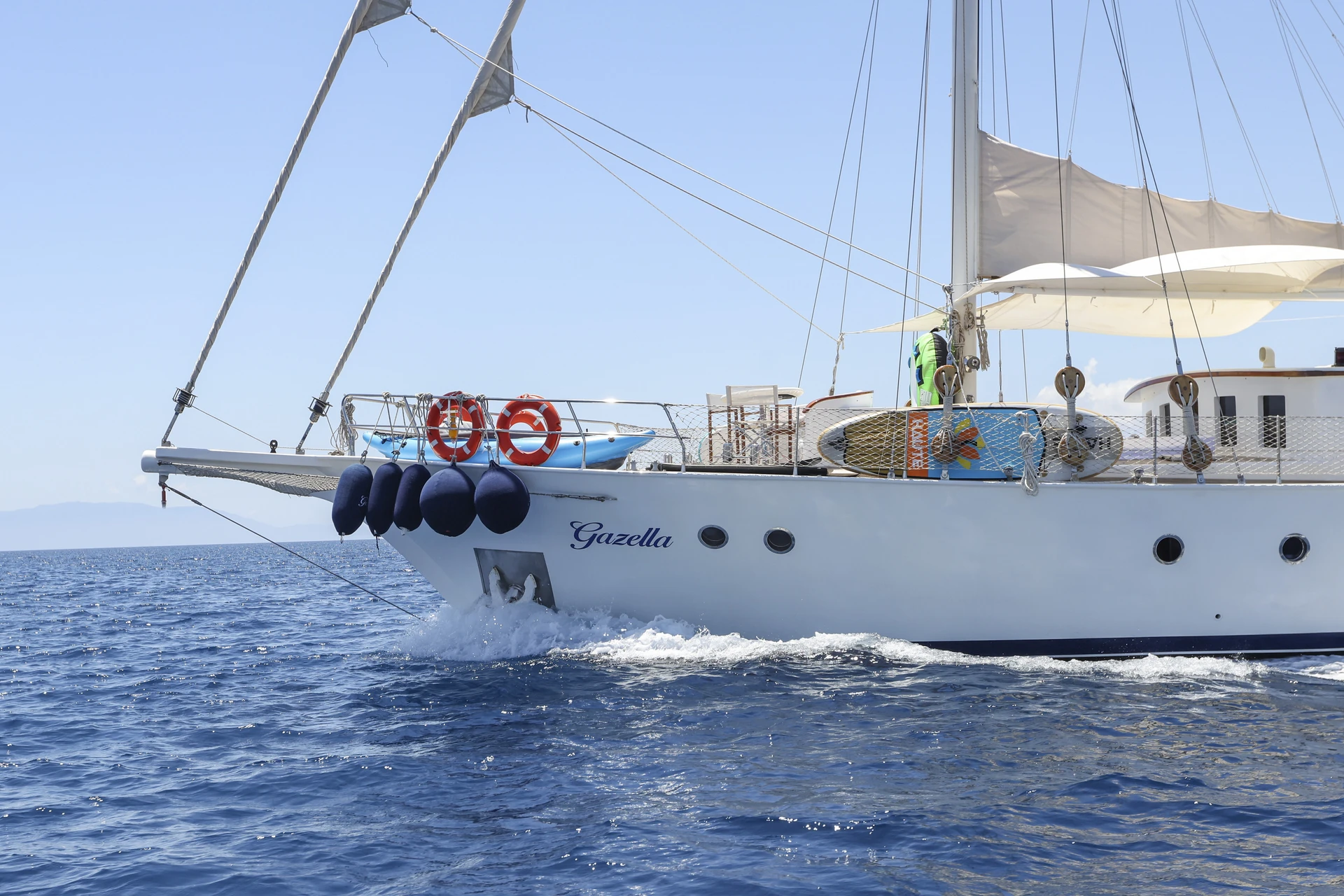 Gazella - photo 4