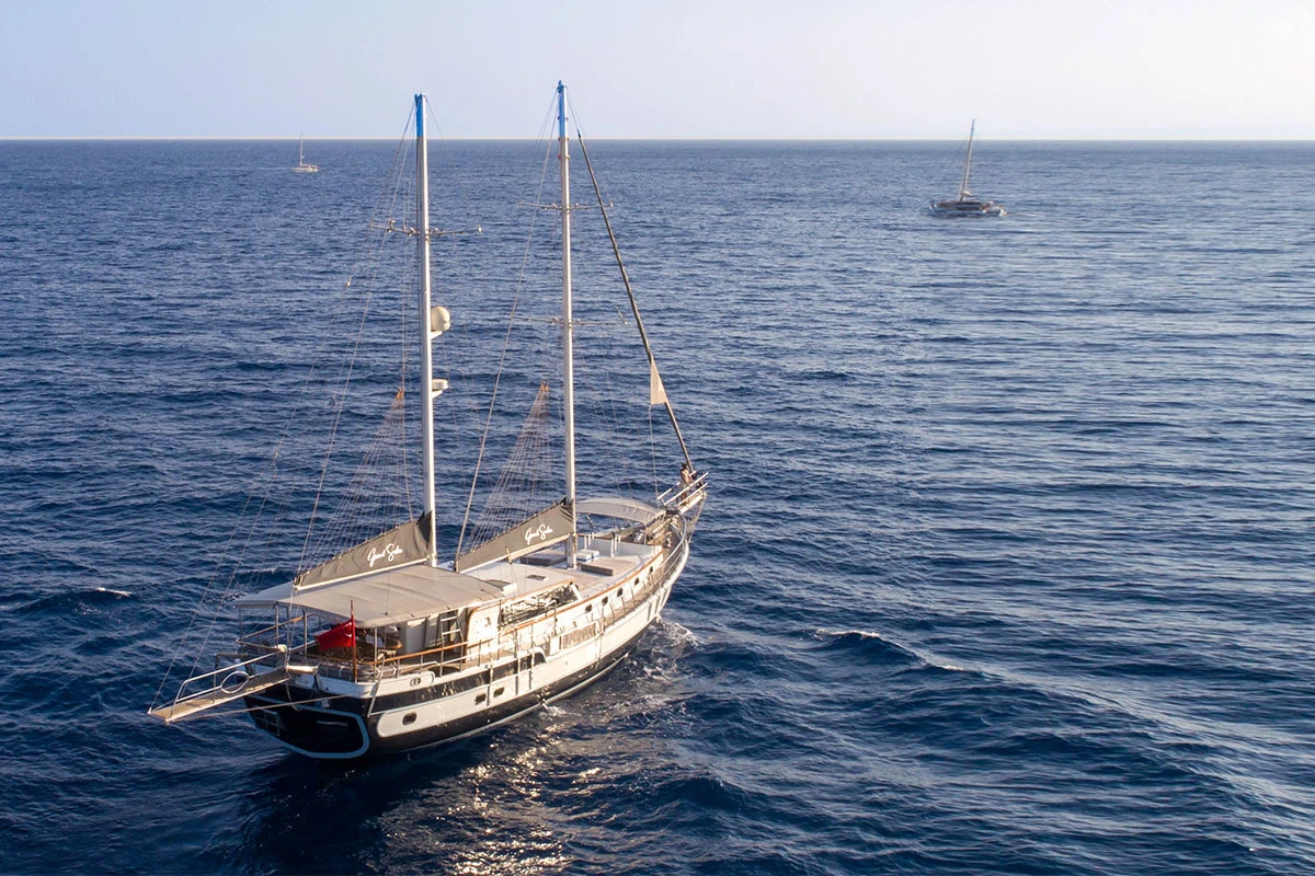 Grand Sailor 2