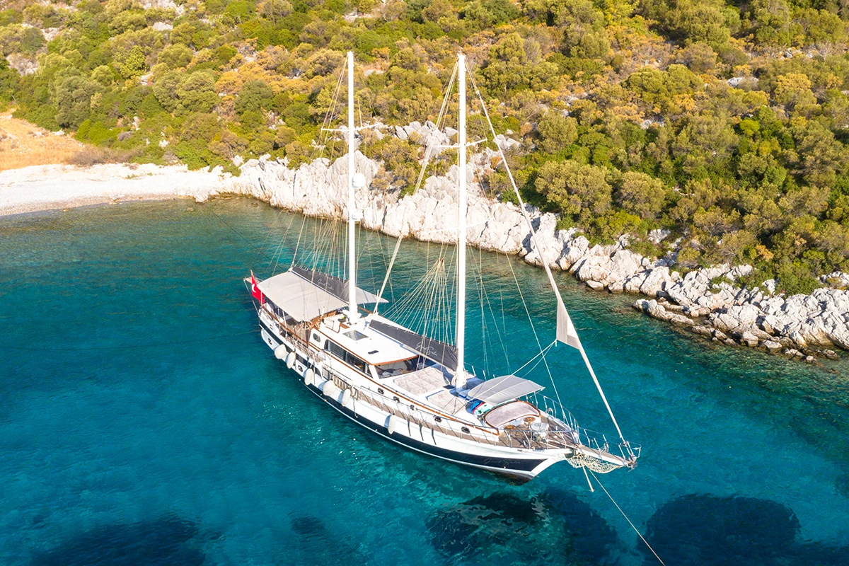 Grand Sailor - foto 5