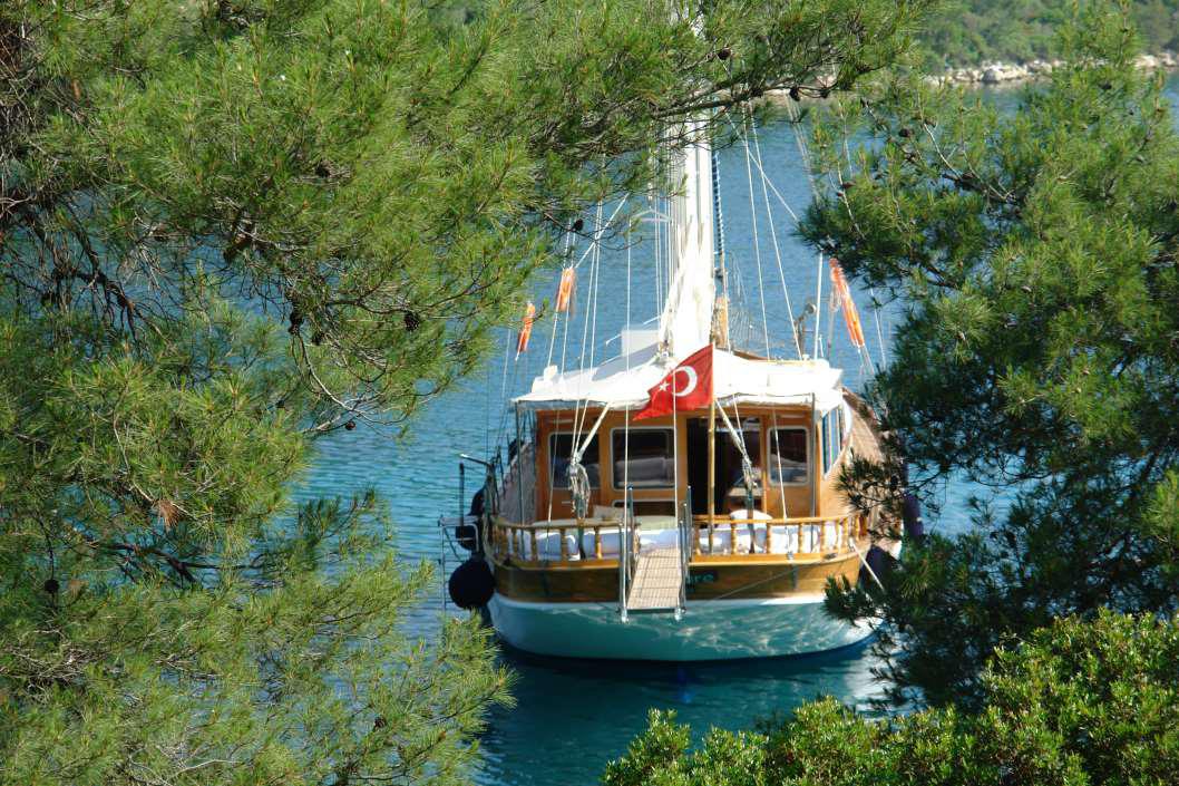 Miramare - photo 5