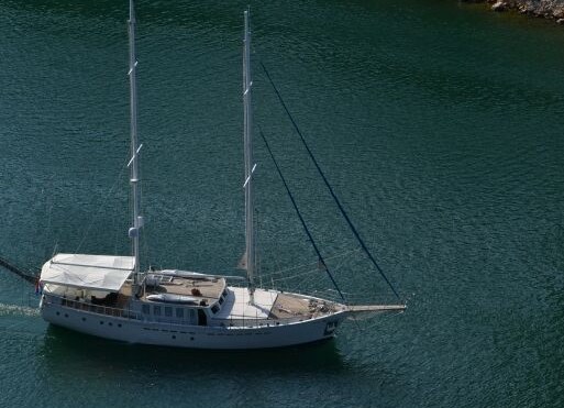 WG CS 001 - photo 2